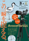 AvocetTarsus（アボセットターサス）＜販路限定製品＞ 製品画像2