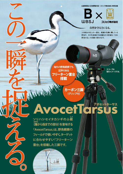 スリック AvocetTarsus（アボセットターサス）＜販路限定製品＞ 製品画像7