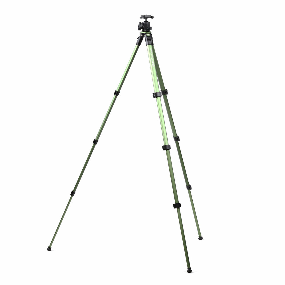 レプトス A294 camper 製品画像4