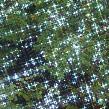 P1070534_cross.jpg