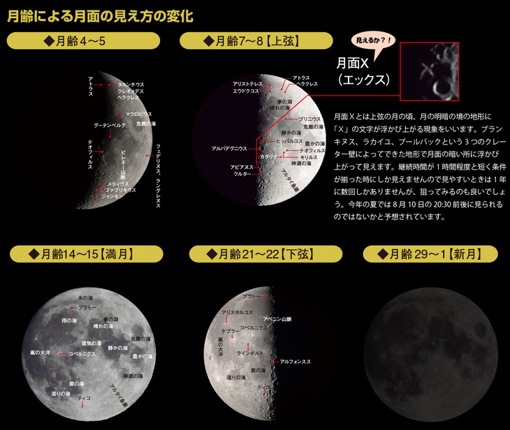 月齢による月面の見え方の変化