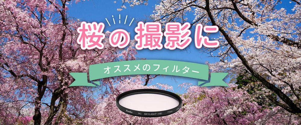 桜の撮影にオススメのフィルター