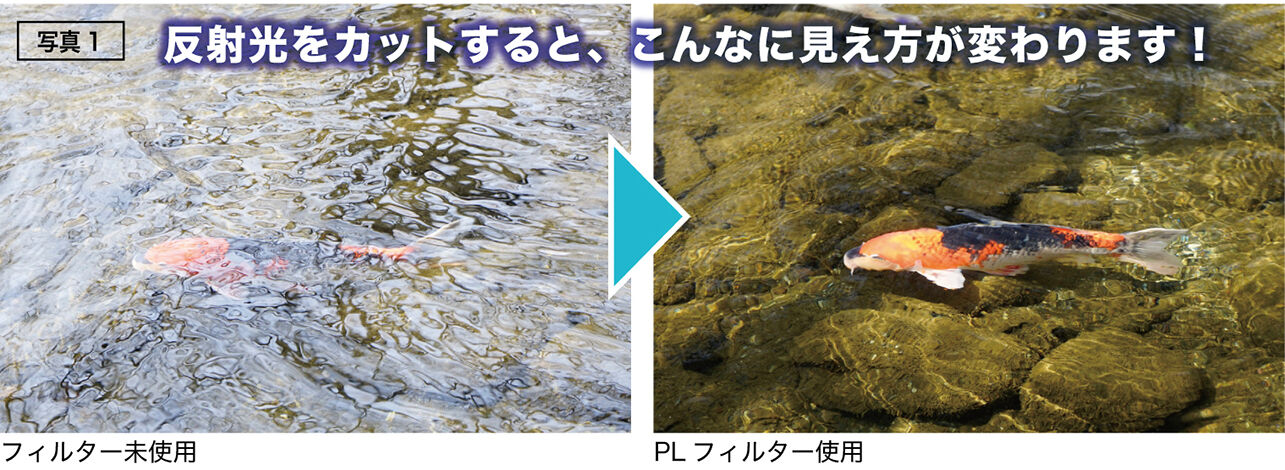 PLフィルター図3