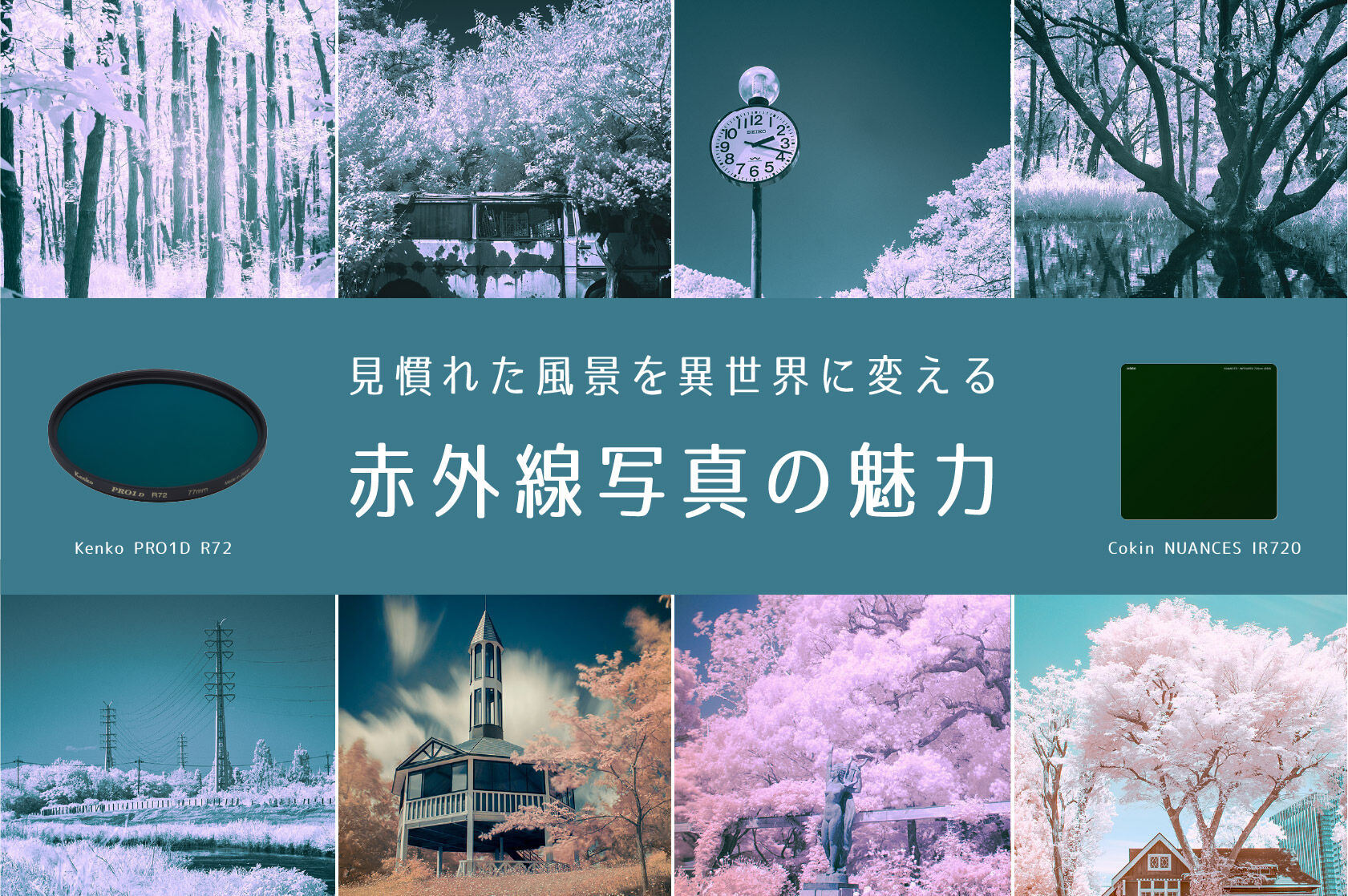 赤外線写真の魅力