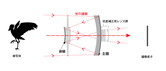 reflex_lens.jpg