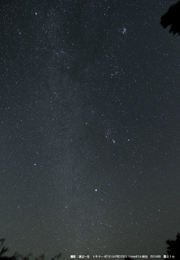 冬の大三角と冬の星座を探そう