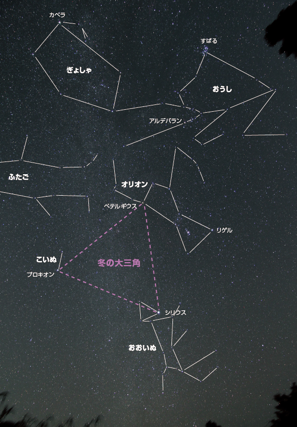 冬の大三角 を使って冬の星座を見つけよう ケンコー トキナー