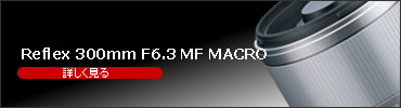 Reflex 300mm F6.3 MF MACRO