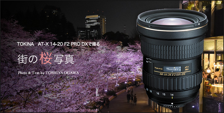 AT-X 14-20 F2 PRO DXで撮る街の桜写真